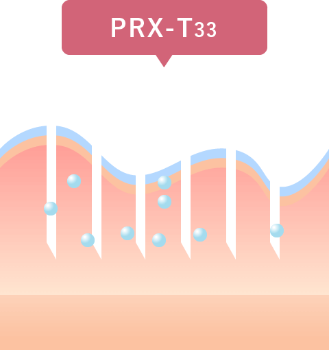 PRX-T33のイメージ図